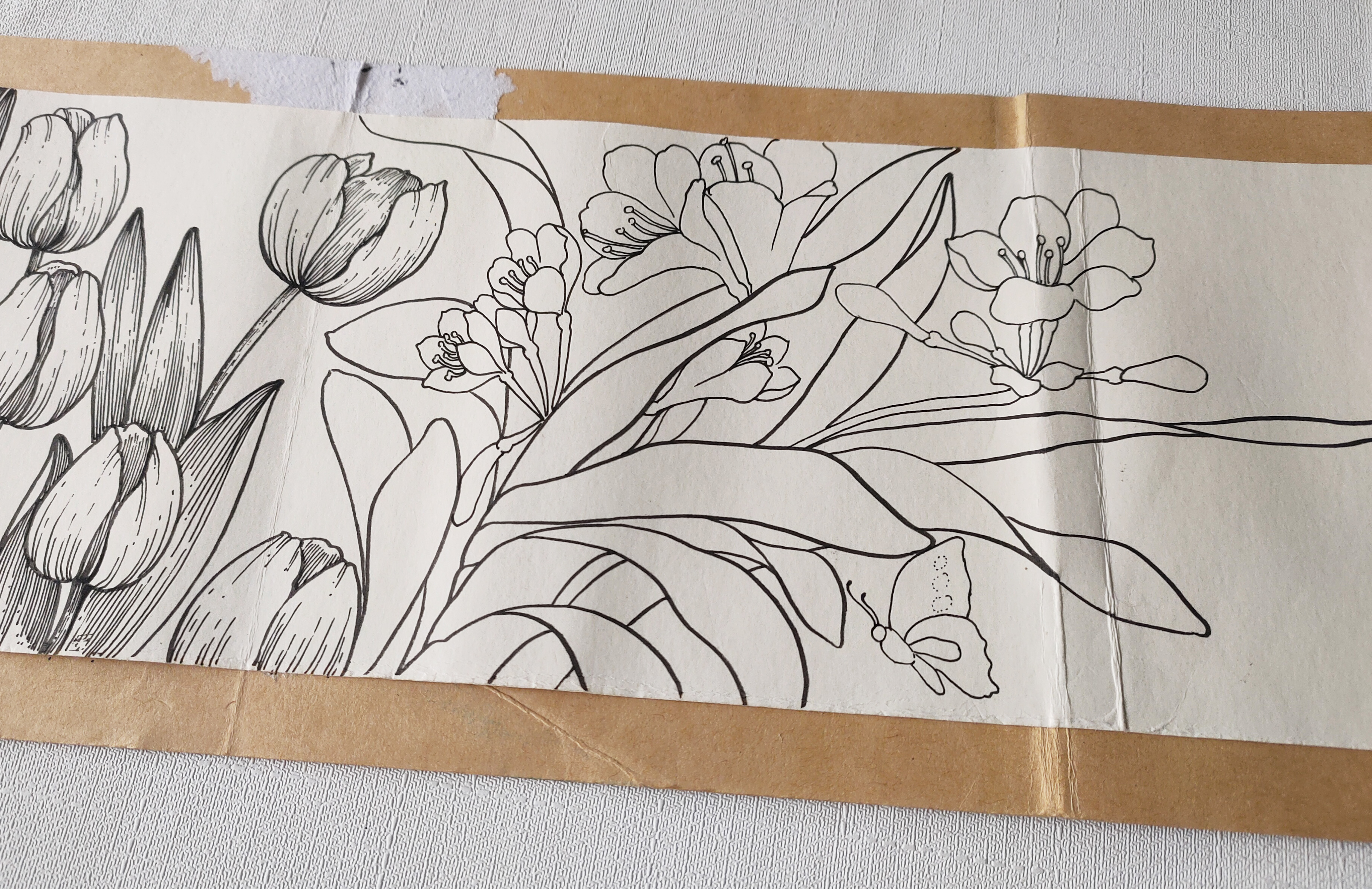 线描横幅花卉上,教你如何画郁金香和兰花,一起把时光装进画本里