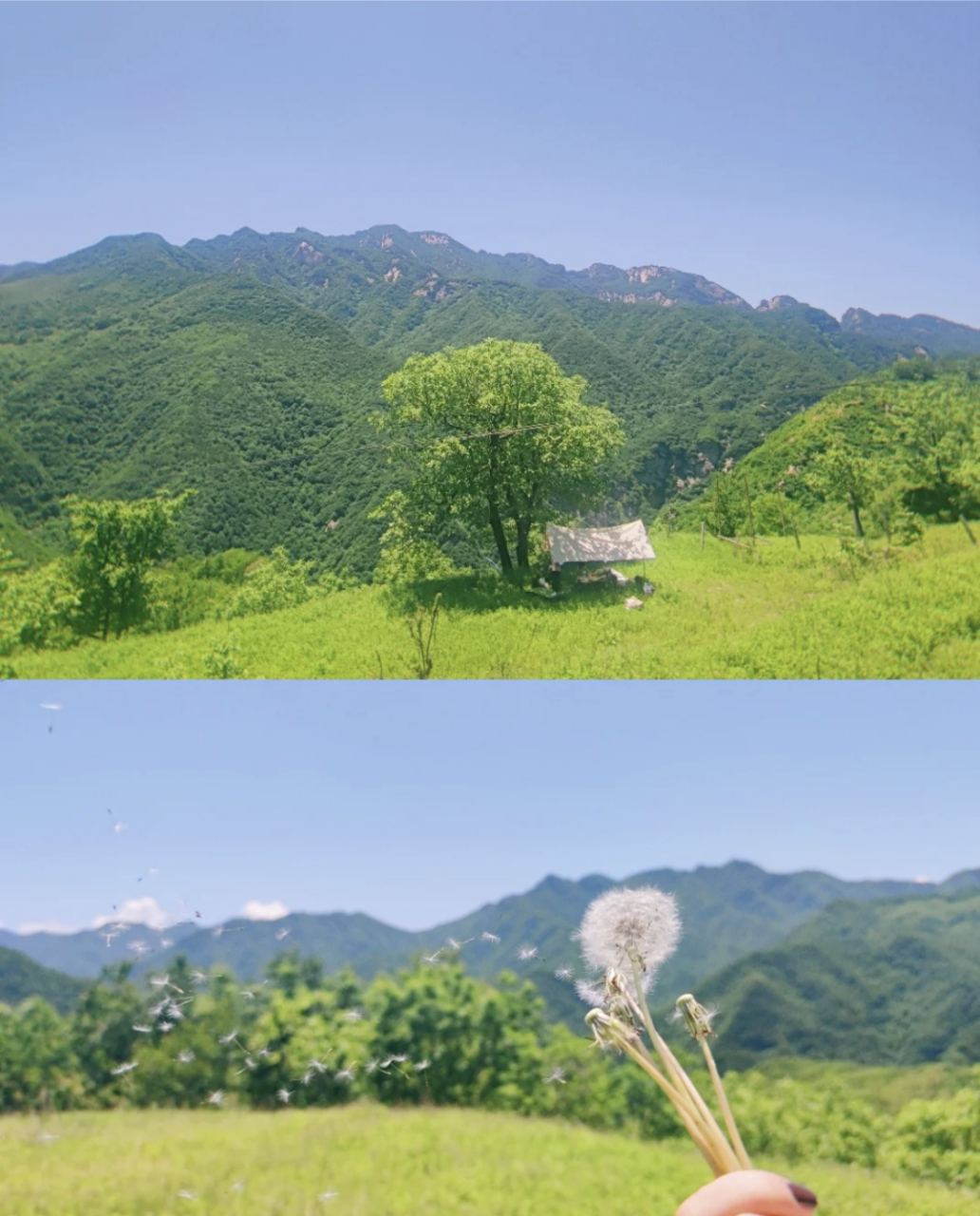 流峪高山草甸位于蓝田玉山镇是西安周边最容易到达的高山草甸,跨过