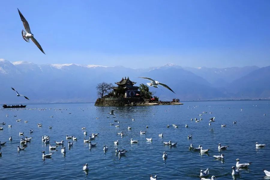 洱海 :大理旅游必去景点之一,这里是大理四大名景之一,是仅次于滇池的