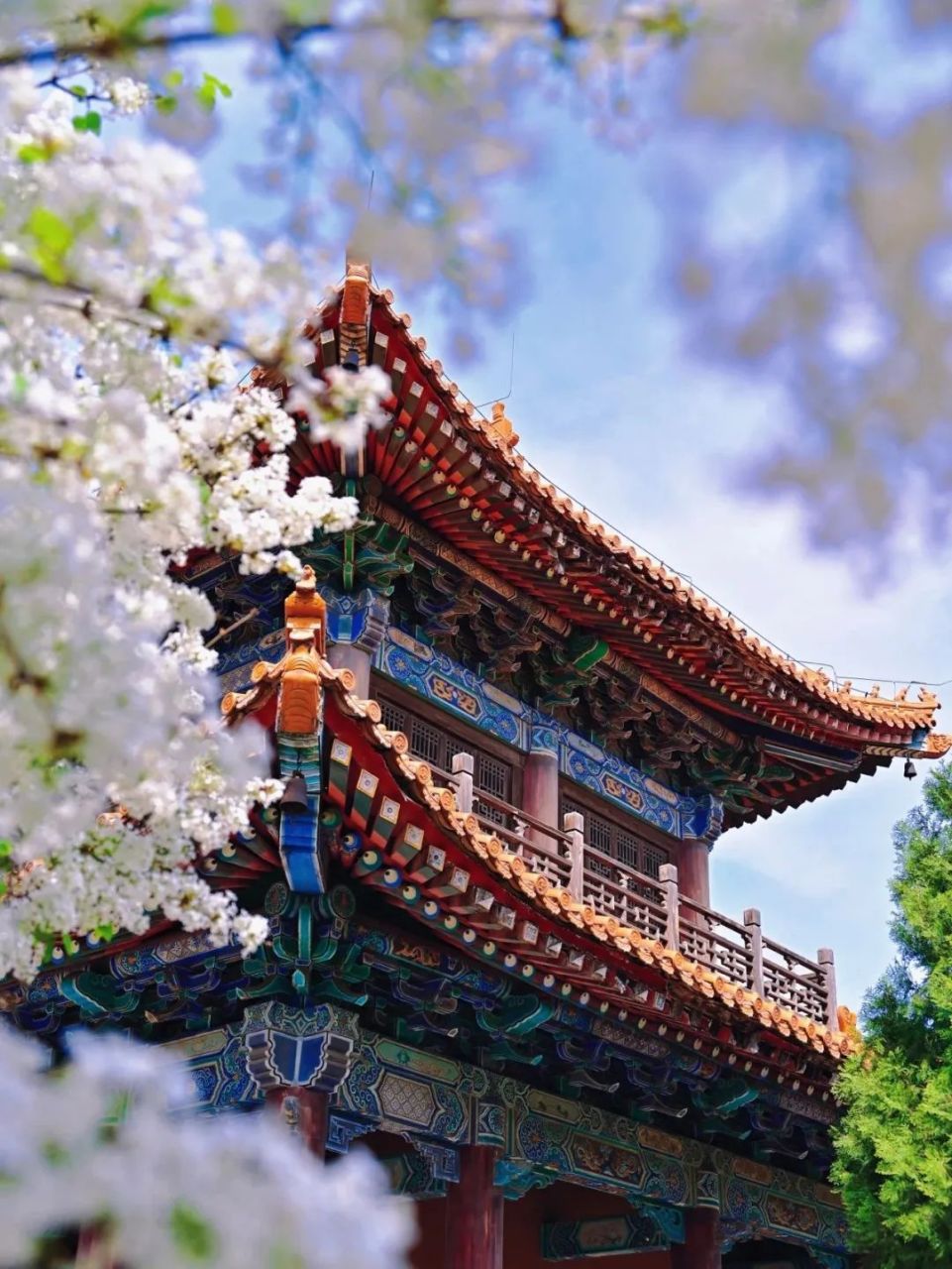 在西岳华山脚下的西岳庙,被誉为"陕西小故宫"