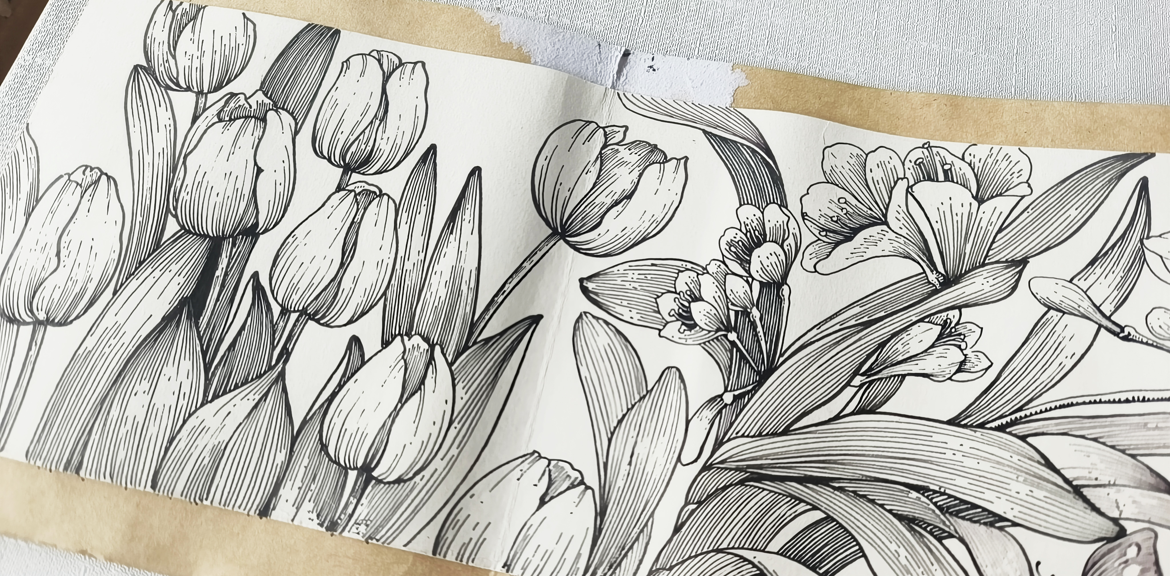 线描横幅花卉上,教你如何画郁金香和兰花,一起把时光装进画本里