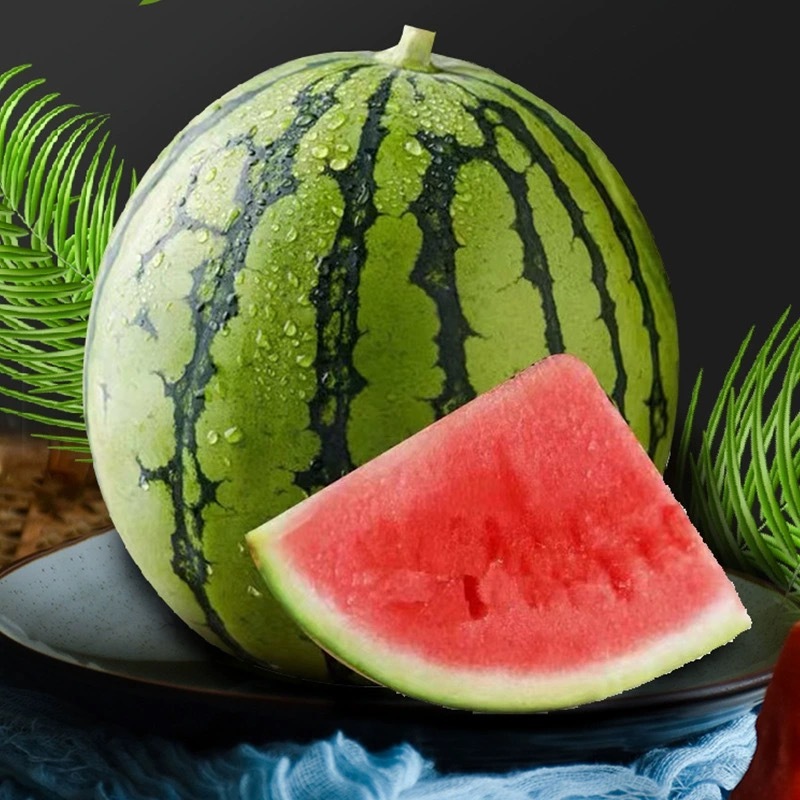 吃瓜群众|西瓜品种大盘点,你喜欢吃哪种瓜?