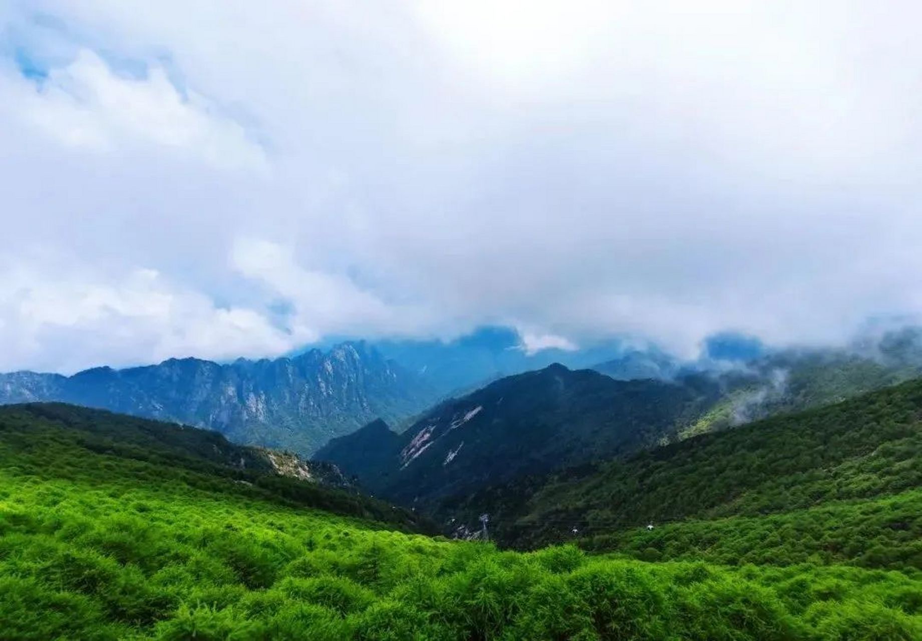 夏天一定要去一趟太白山国家森林公园,巍巍秦岭处处绿意葱茏,充满了