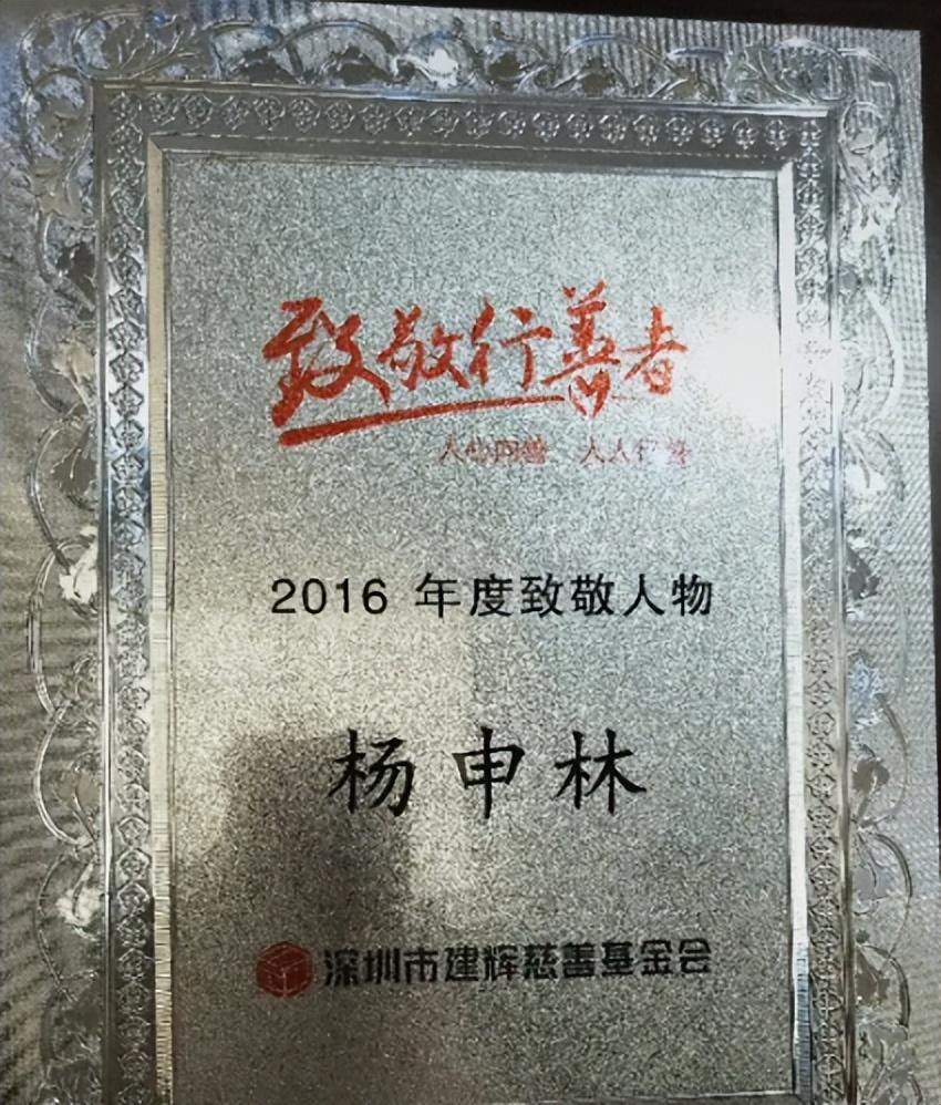 1992年,武汉一个名叫杨申林的42岁男子在摆地摊的时候,捡到一名女婴