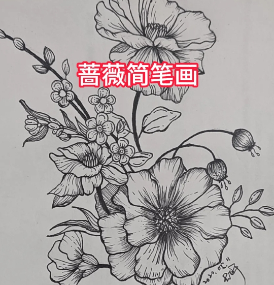 蔷薇简笔画
