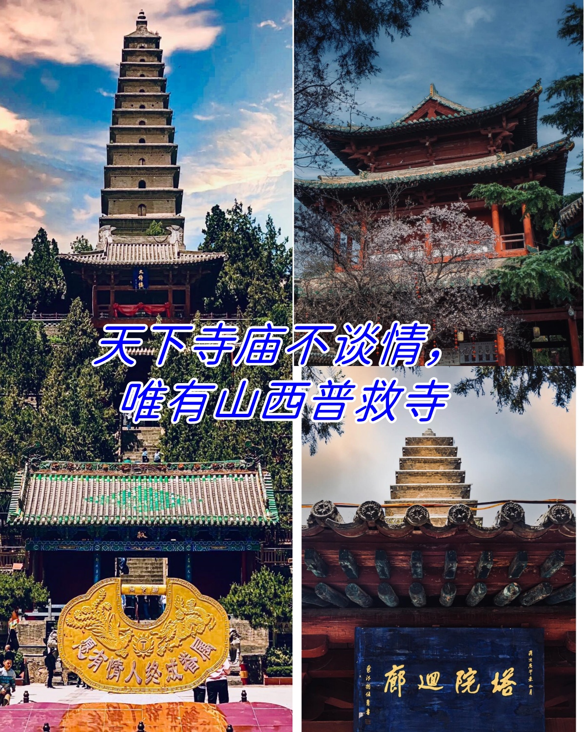 普救寺门票图片