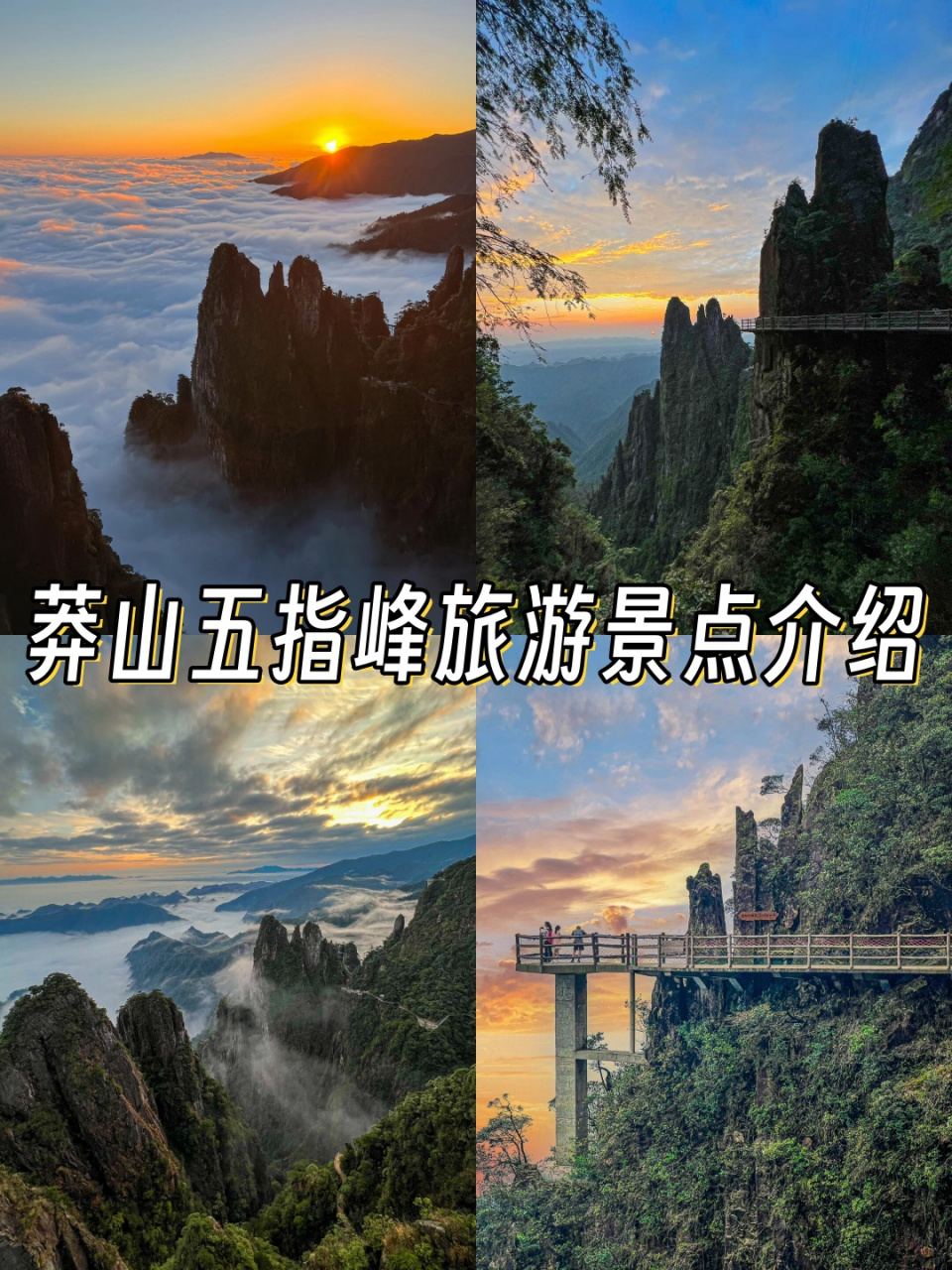 莽山旅游景点介绍图片