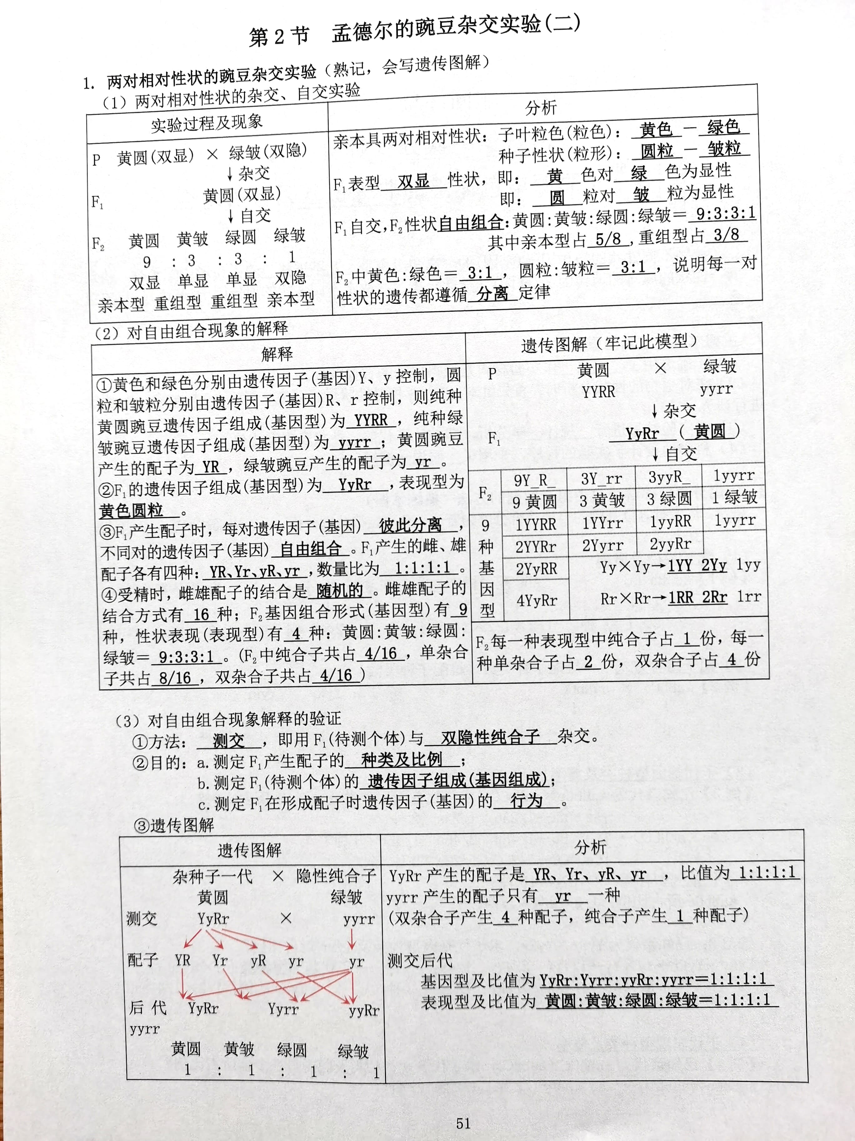 植物体细胞杂交意义图片