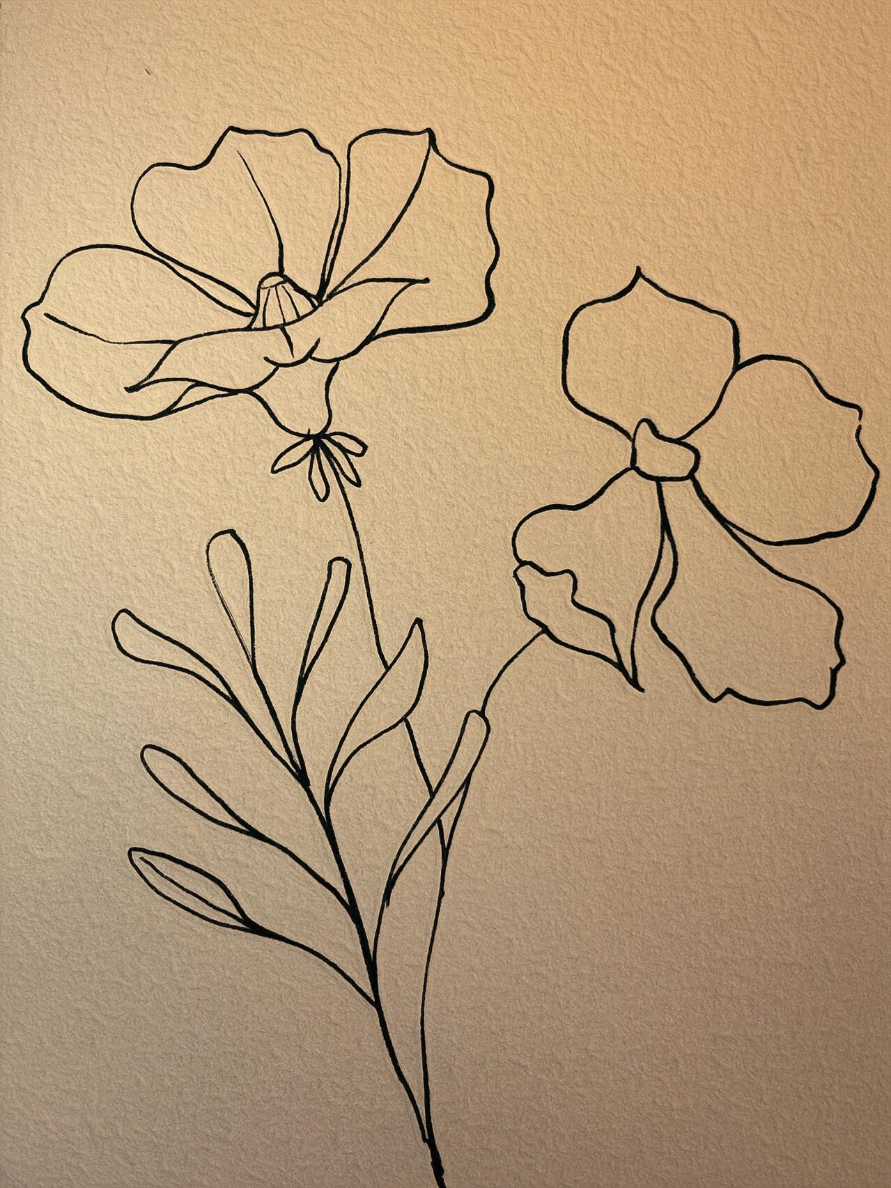 月光花简笔画
