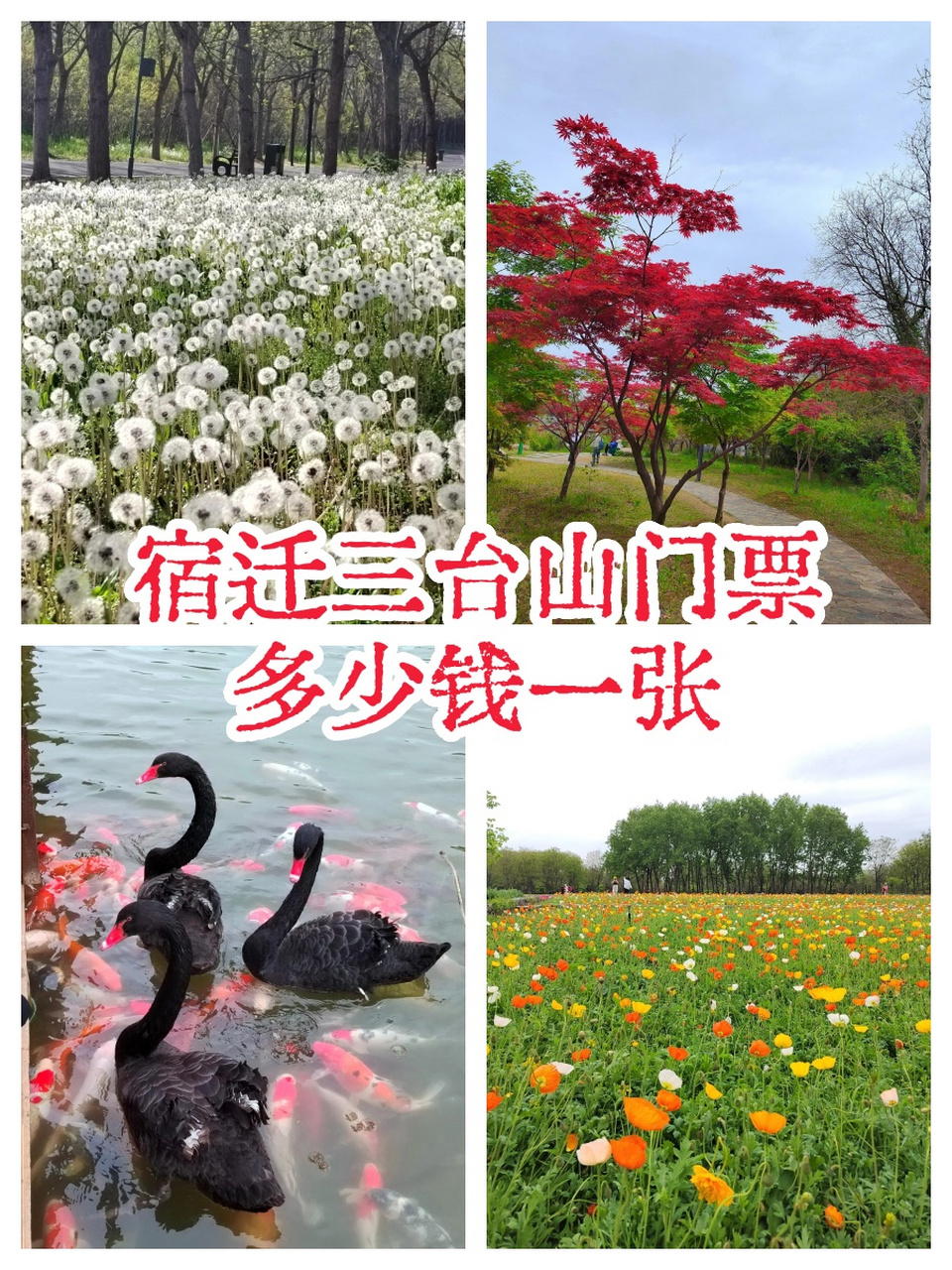 宿迁三台山门票价格曝光,竟然是这个数!