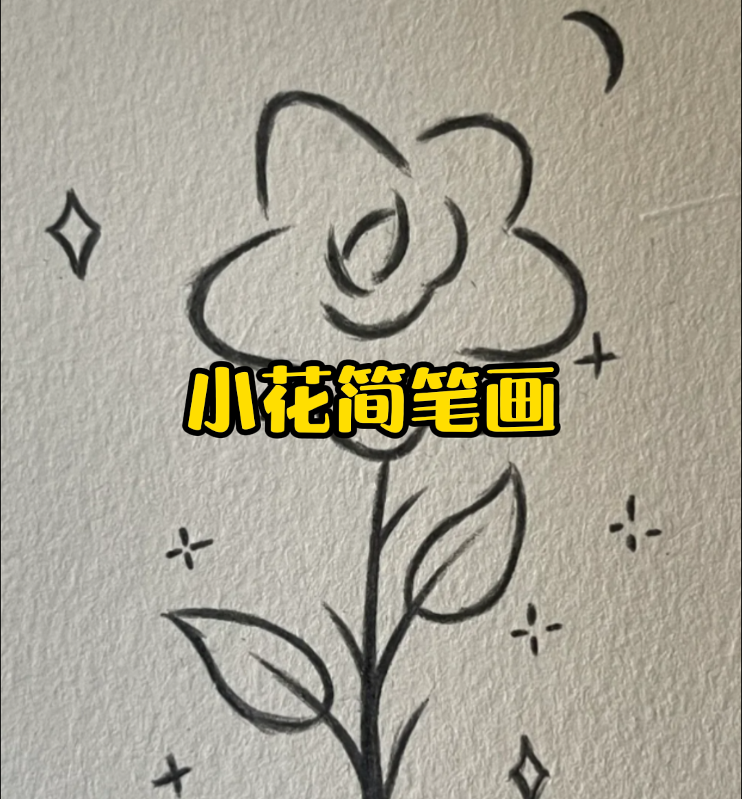 花蕊的画法简笔画图片