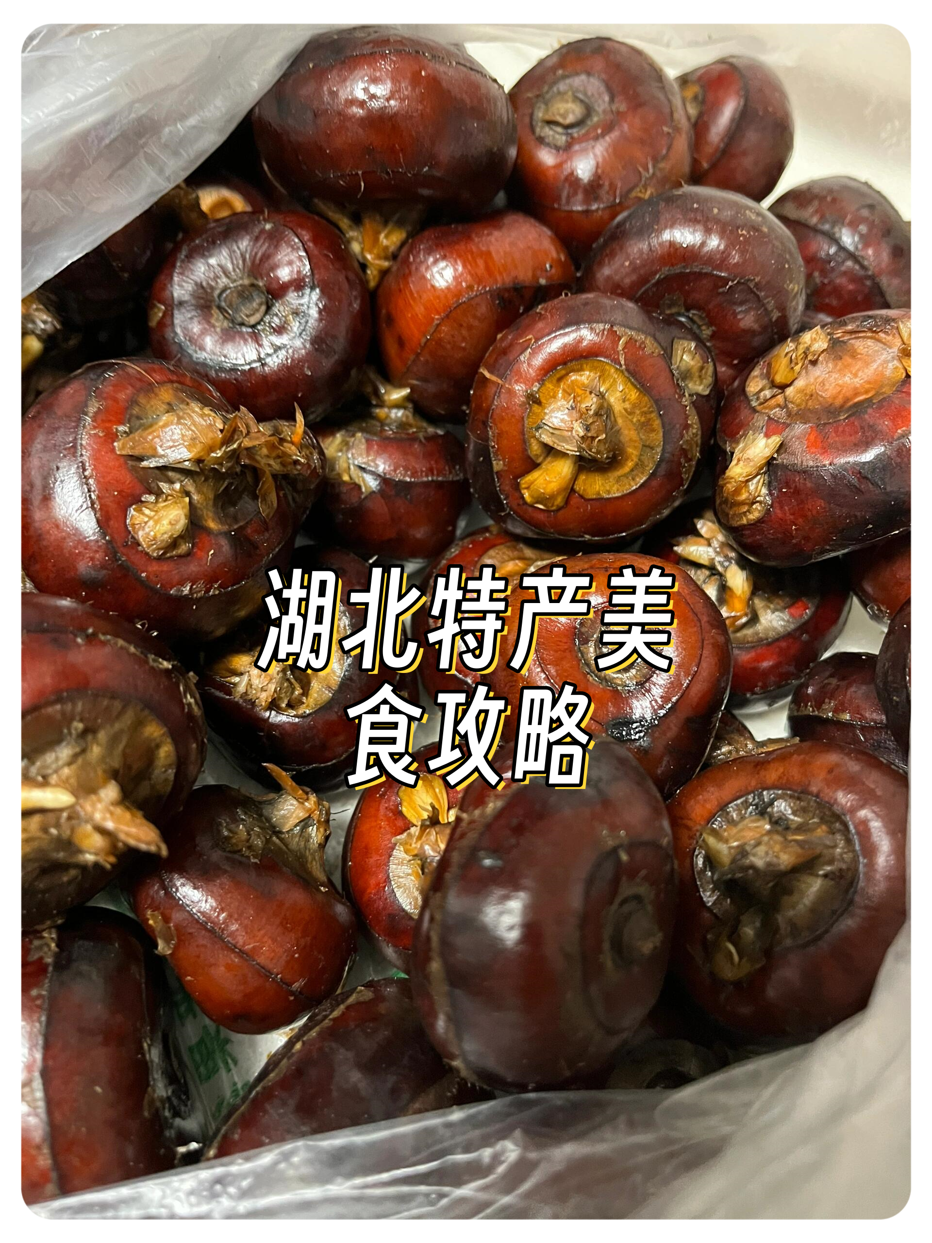 湖北特产美食攻略 在湖北这片富饶的土地上,有一种长在地里的独特