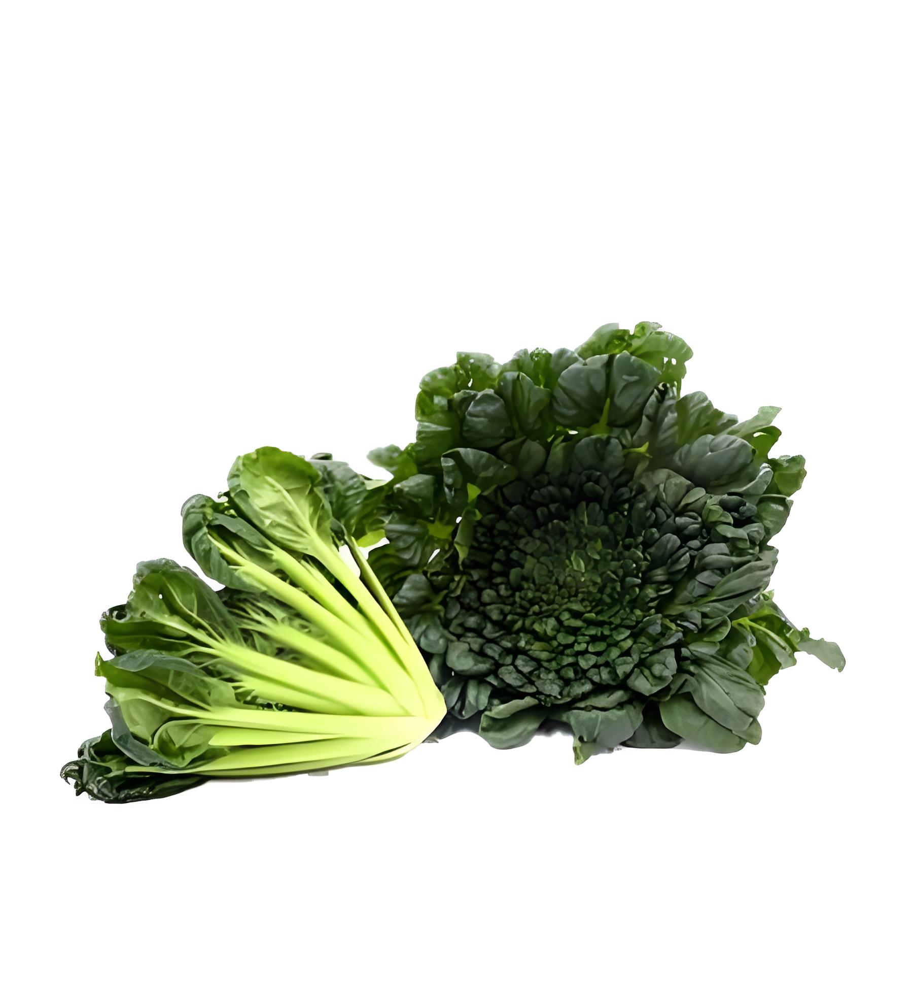 菊花菜是什么菜?冬日里的清脆美味