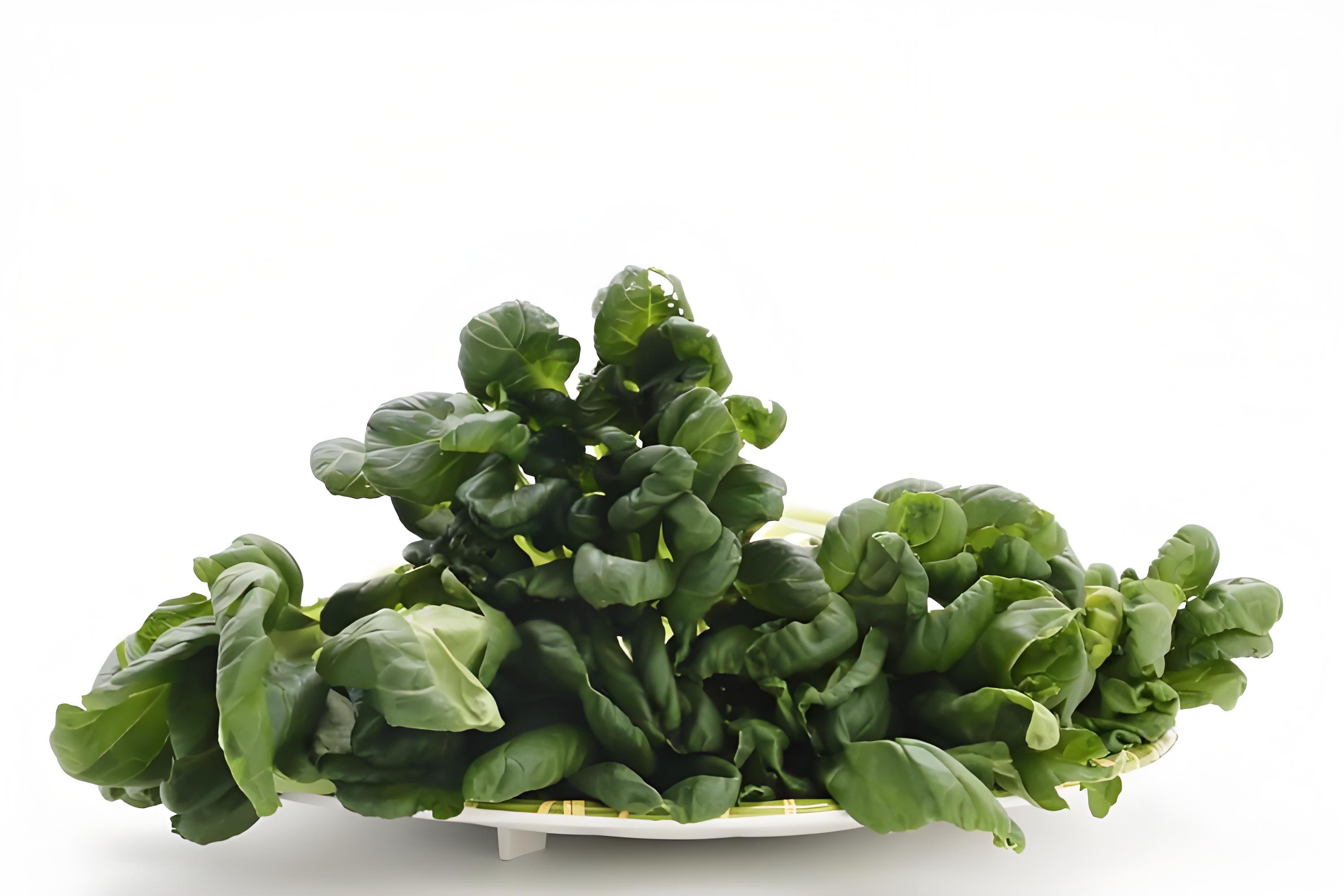菊花菜是什么菜?冬日里的清脆美味