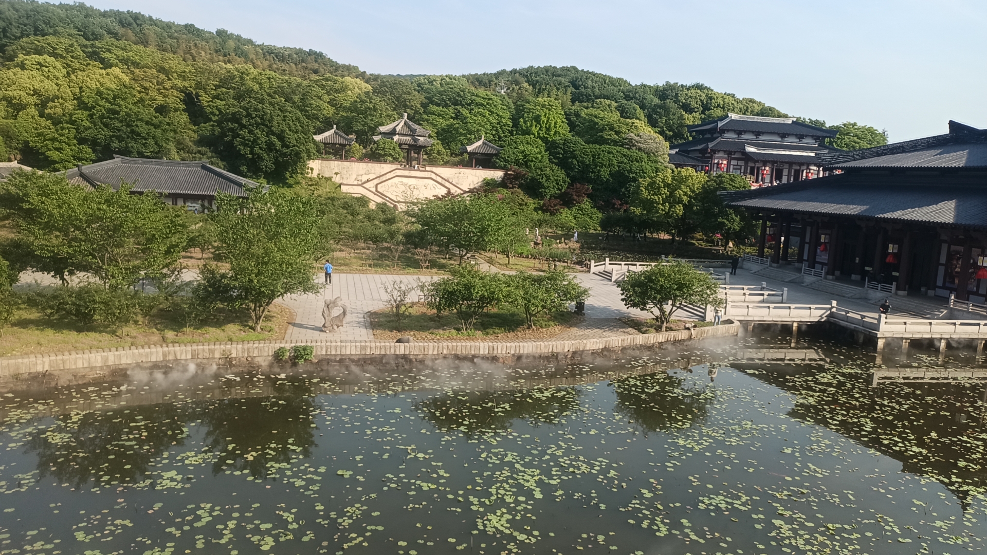 也不知道我们家这个小崽子究竟是什么情况,心里有点事就睡不着