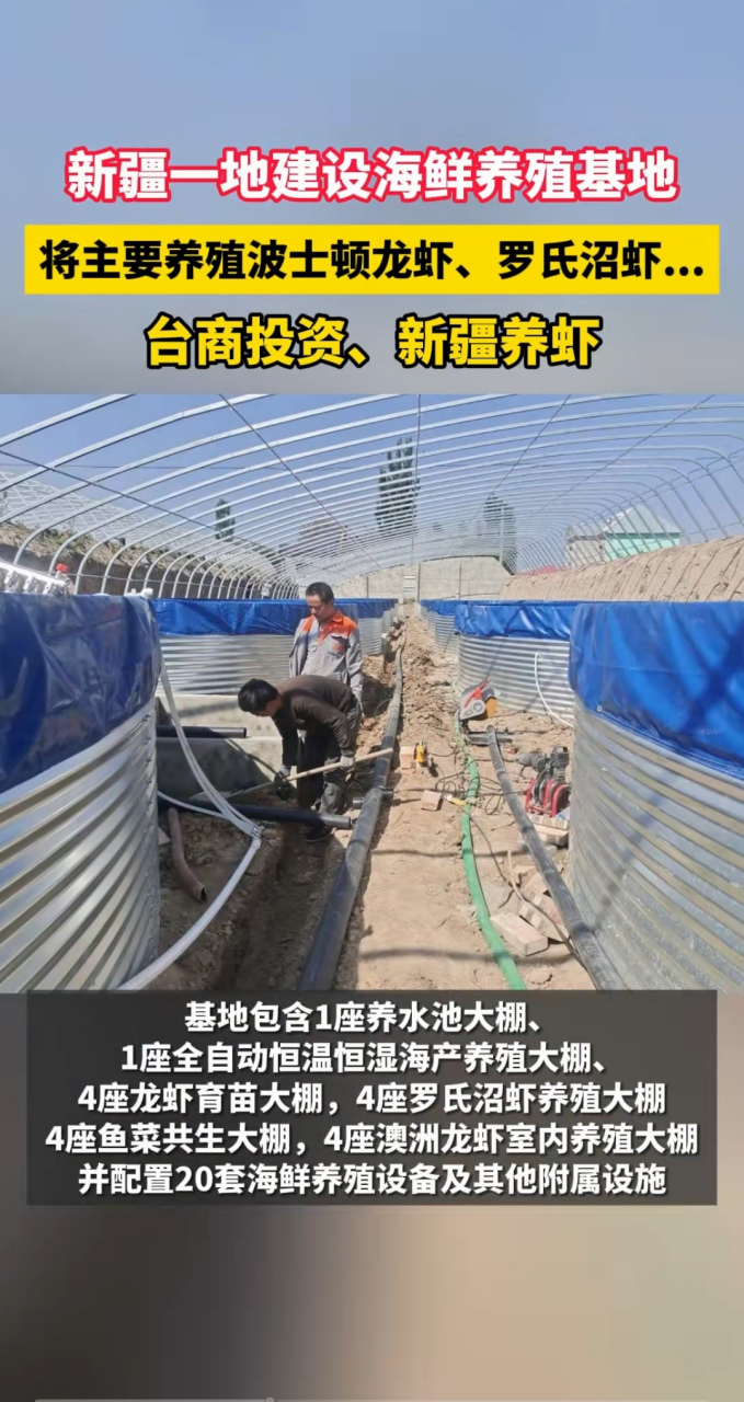 龙虾养殖投资(龙虾养殖投资多少钱)