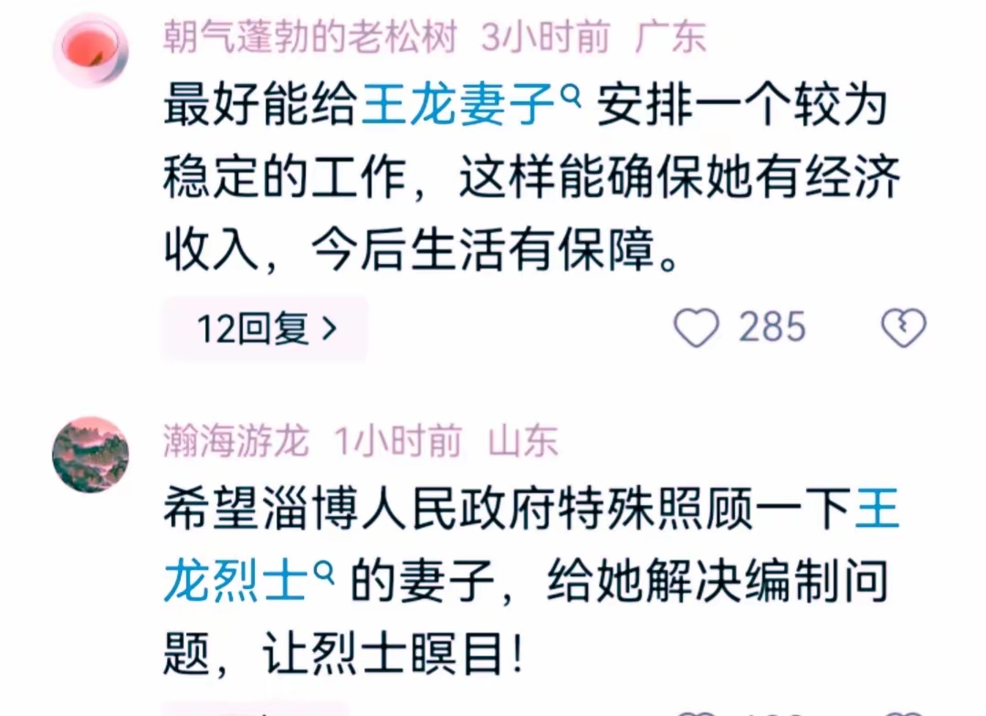 王龙现任妻子图片