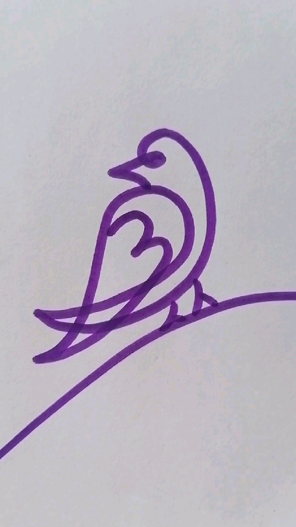 一笔画小鸟,你学会了吗?