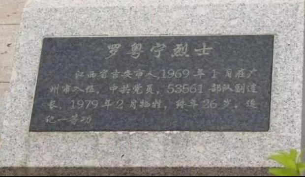 对越自卫反击战中,有10位首长的儿子牺牲在战场上他们都是谁?