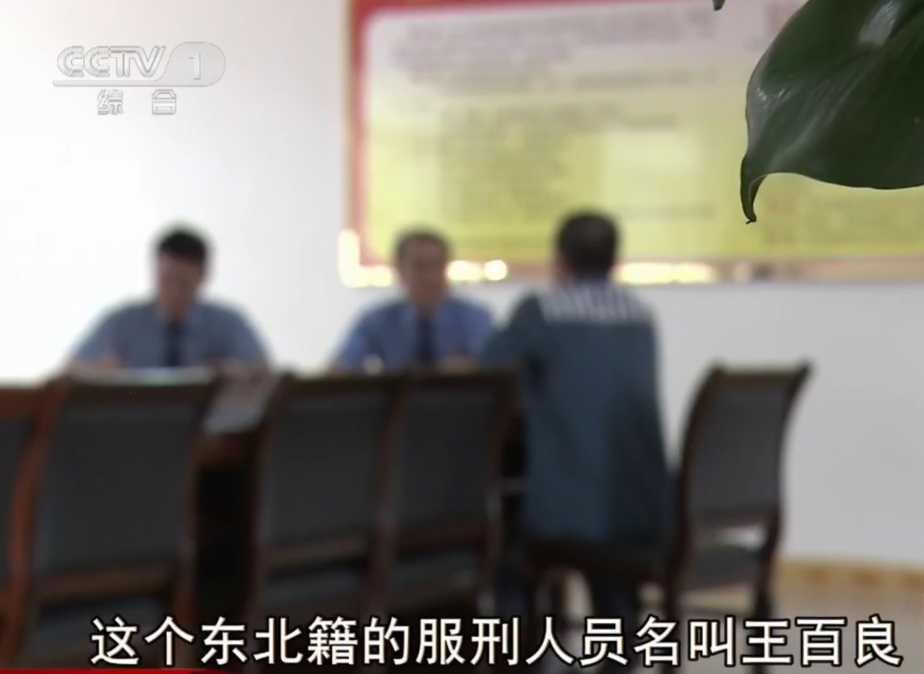 2009年,男子雇凶杀老婆,天衣无缝毫无线索,一句试探露出破绽