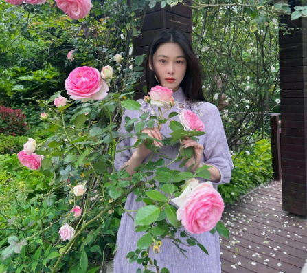 以李晨的视角看张馨予:我那美如天仙的前女友,竟有如此美的花园