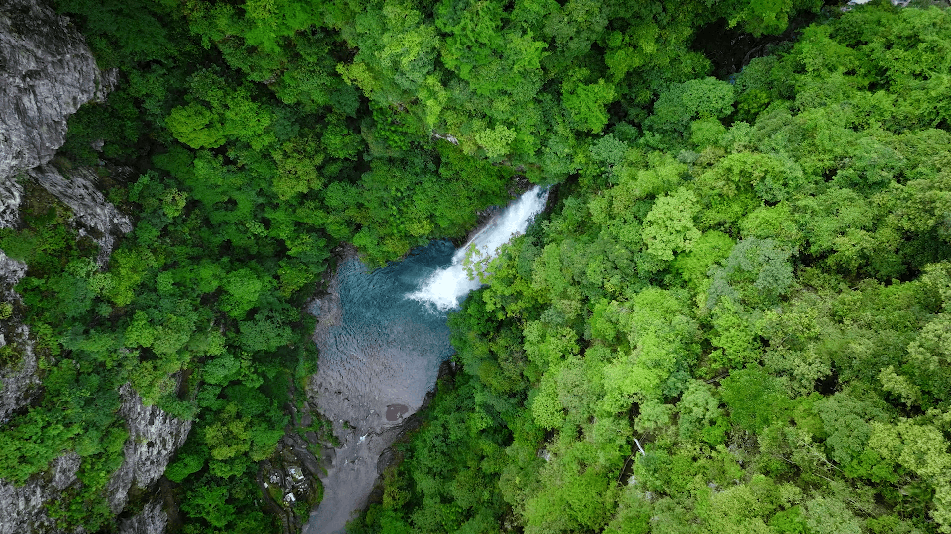 2024龙潭国家森林公园营业时间 地址 门票价格