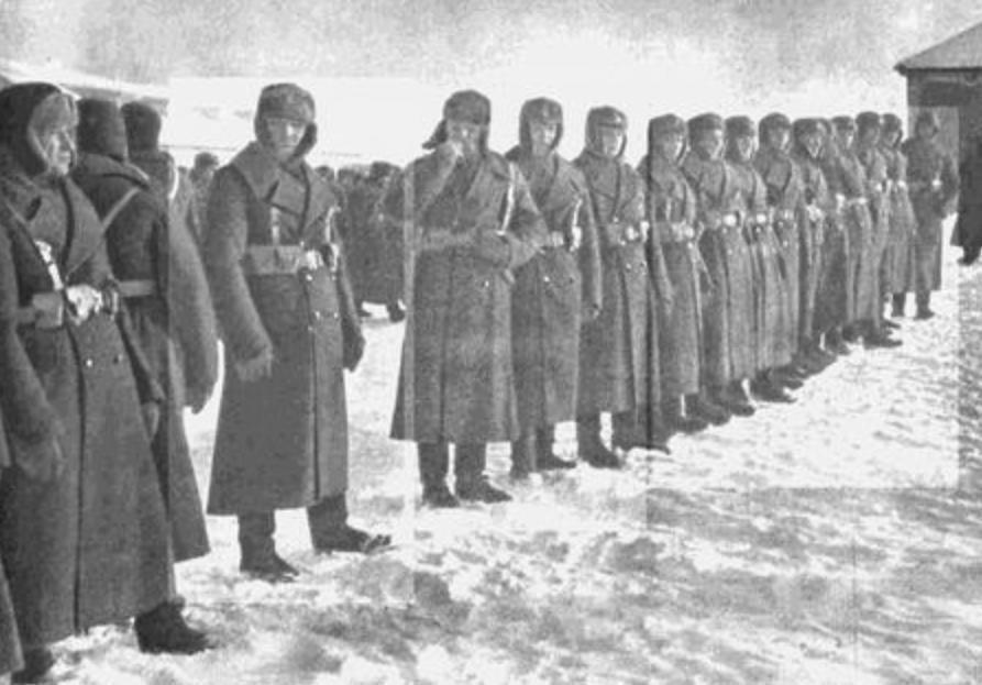 回顾二战传奇"熊士兵",抽烟喝酒搬运弹药还混上了"军衔"