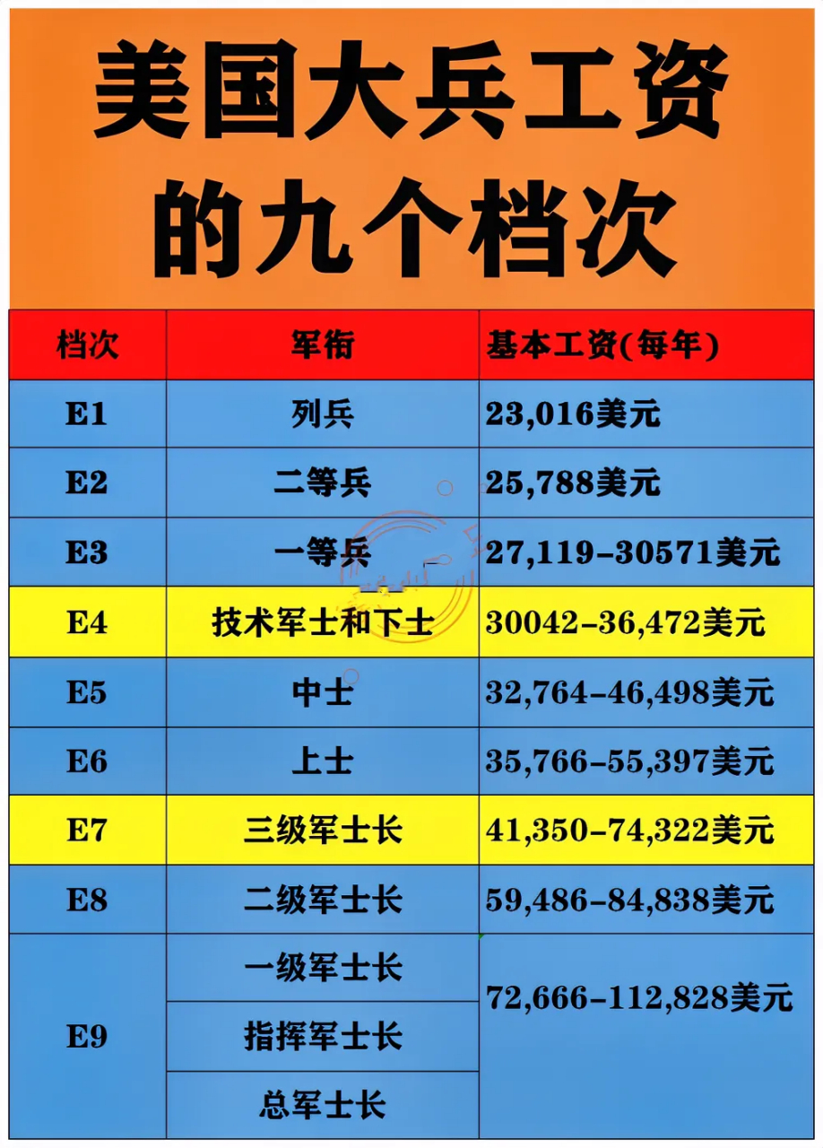 二级军士长肩章图片