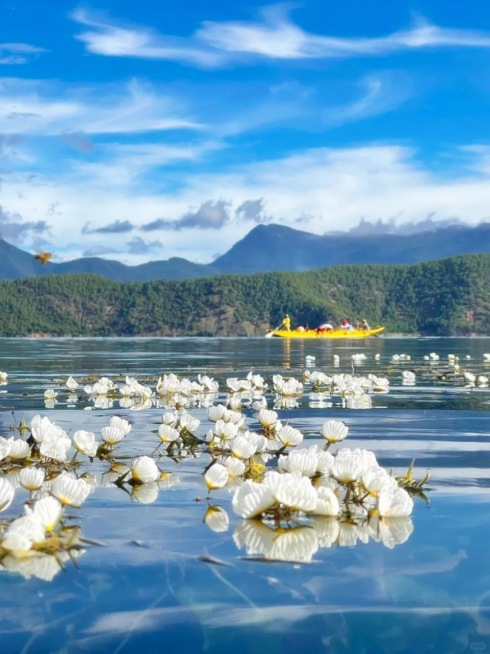 它位于四川省和云南省交界处,形状就像一个葫芦,湖水清澈得仿佛能见底
