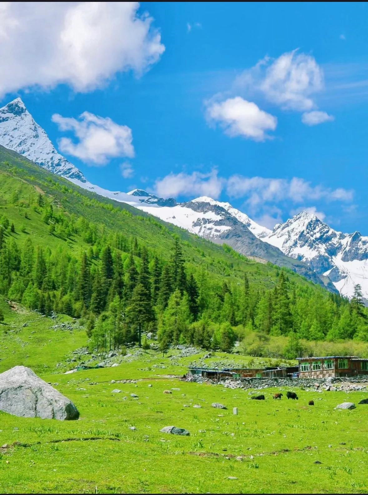 四姑娘山旅游攻略,打造完美旅行!