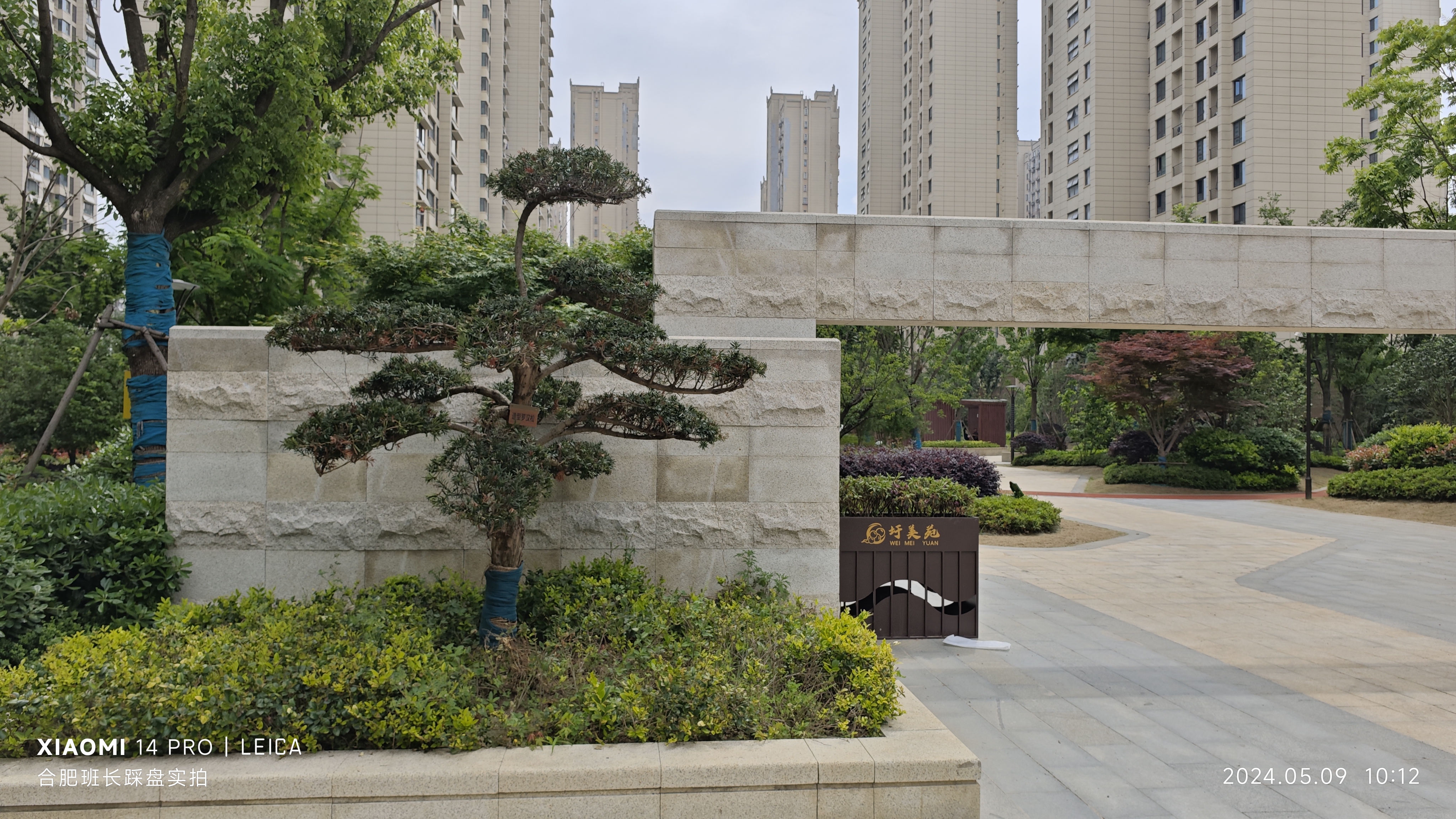 这个真的不太像安置房,景观做的真不错,各种廊亭