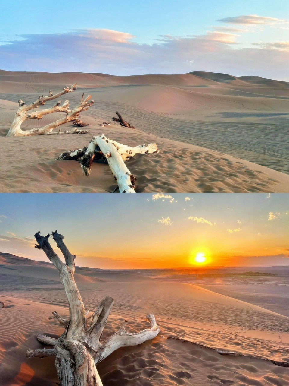 库木塔格沙漠一日游:刺激,惊险,好玩的完美结合!