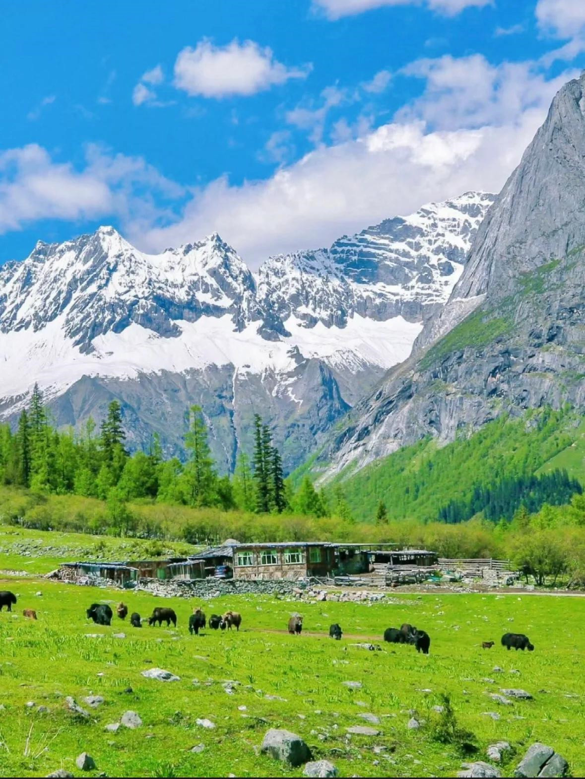 四姑娘山旅游攻略,打造完美旅行!