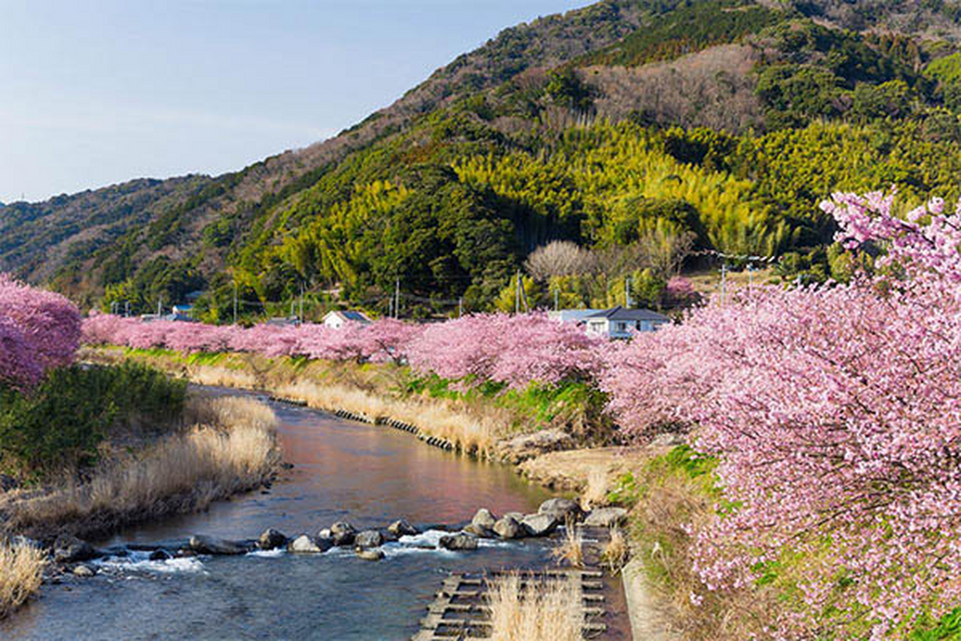 舟山桃花岛景点介绍图片