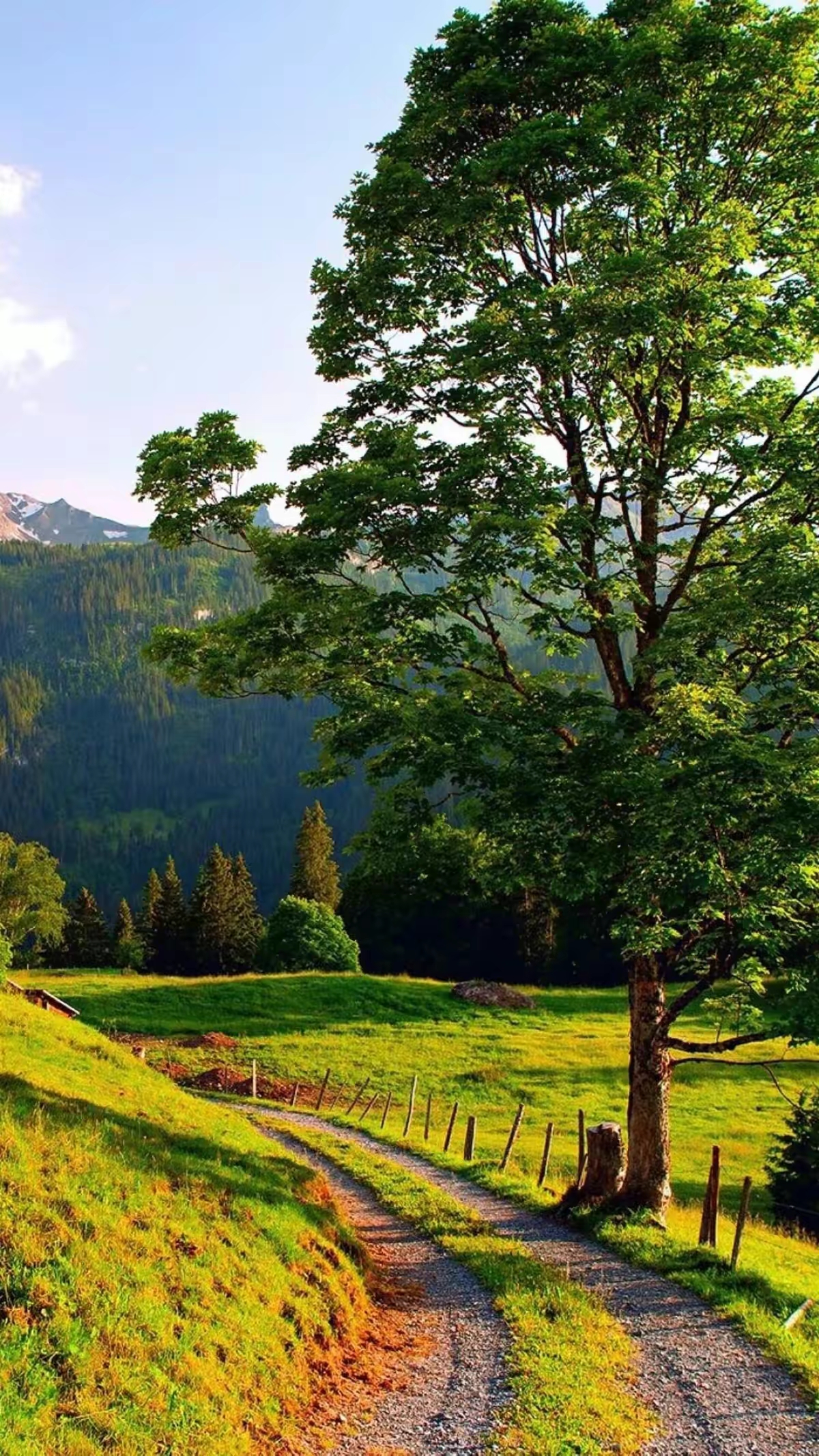 过度运动 2.晚睡晚起 3.吃的太凉 4.饮食不规律 5.情绪太波动 6.