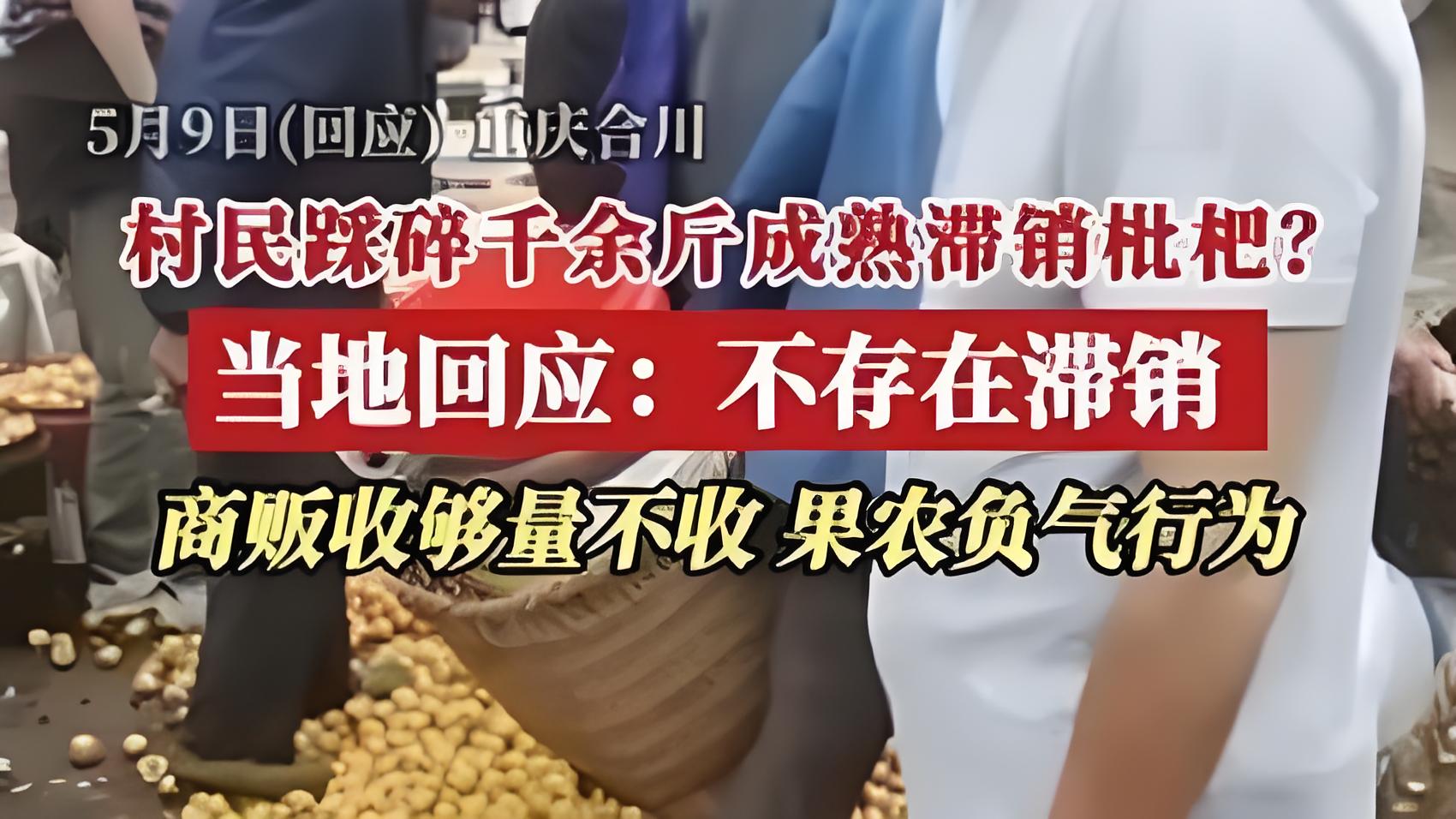 官方回应揭示真相,重庆果农踩碎滞销枇杷背后的心酸与挑战