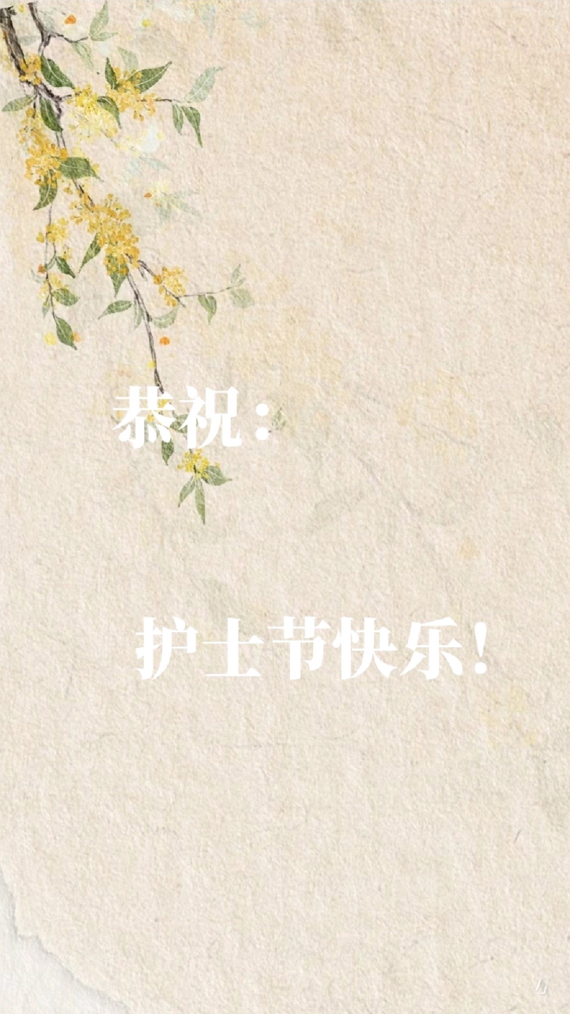 恭祝护士节快乐!