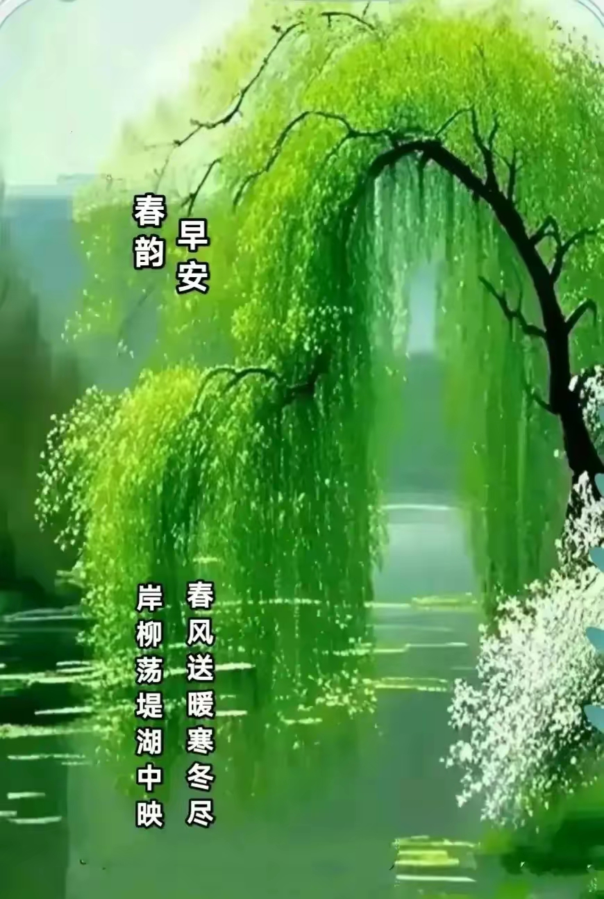 早安问候图,温馨的早安问候,早安每日问候图片