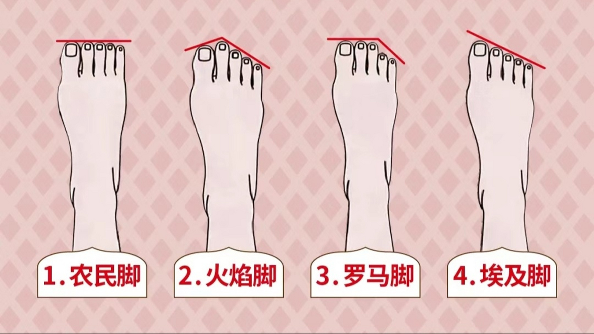 1,农民脚 2,火焰脚 3,罗马脚 4,埃及脚 测一测你天生属于什么命?