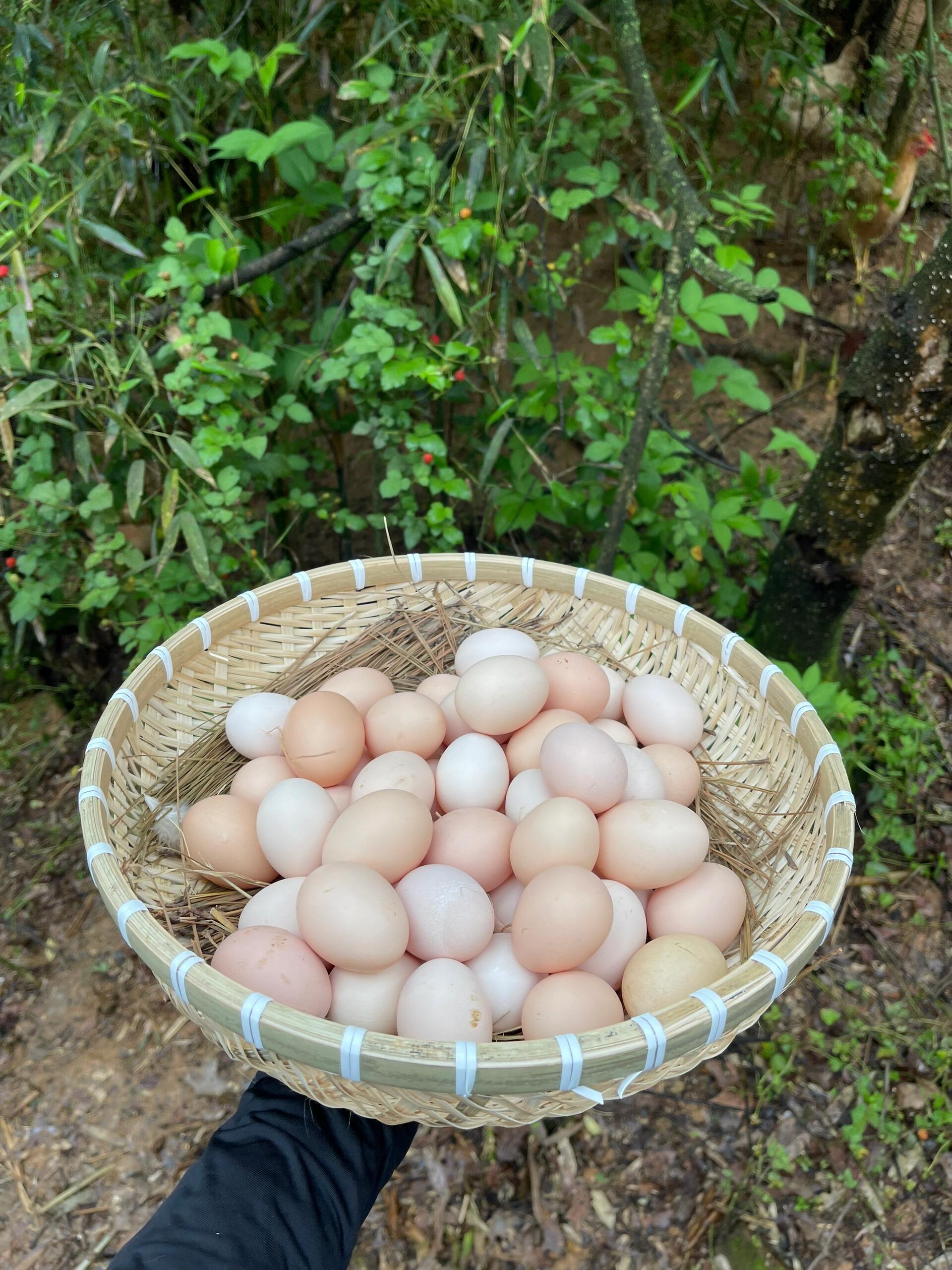 涟水农产品：苏北沃土上的米香、蛋鲜与干货好味