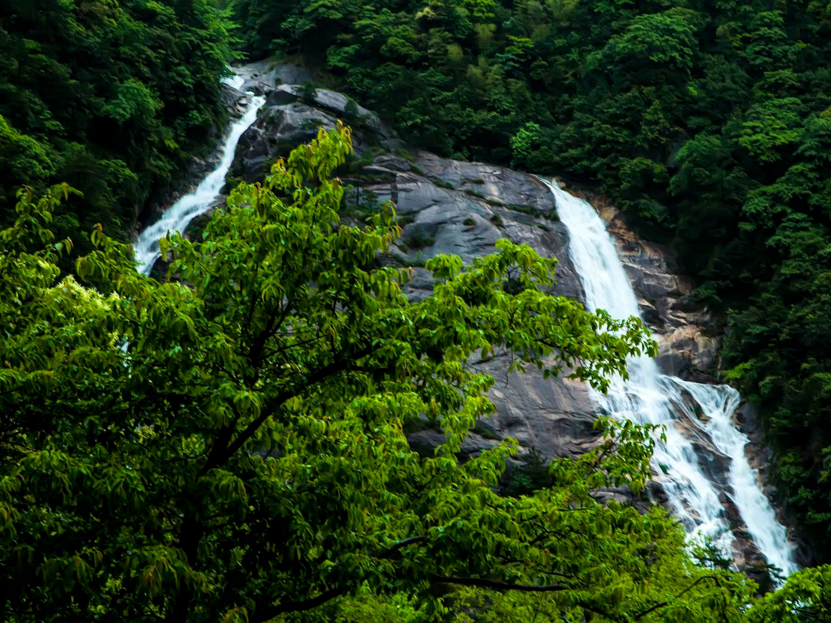 黄山三瀑图片