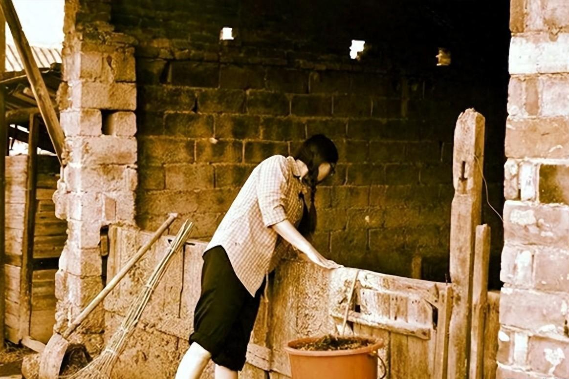 多年来,我们帮助小叔子改善生活,如今我们已退休,与小叔子