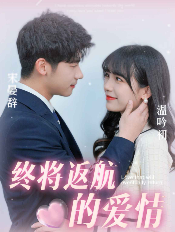 终将返航的爱情封面图