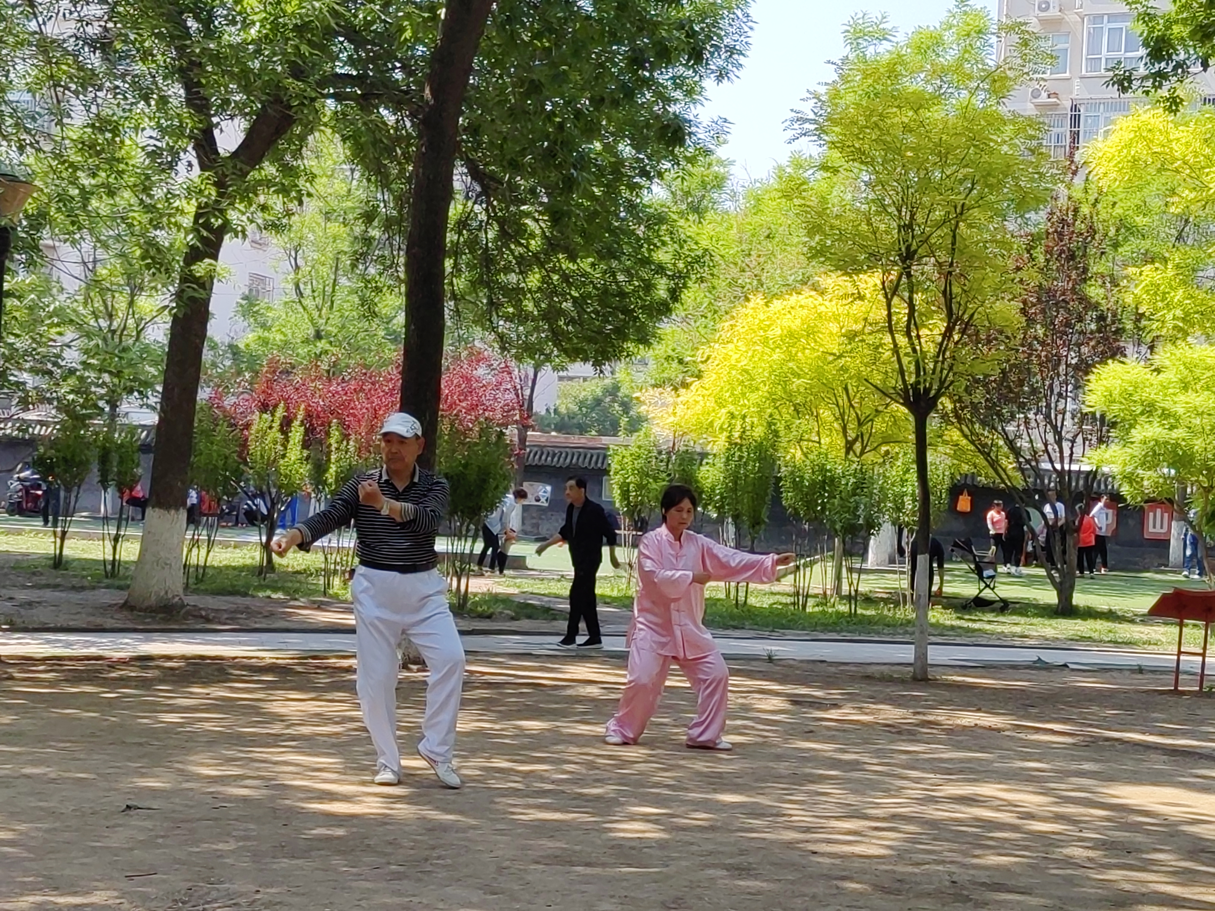 早晨在公园锻炼的人们
