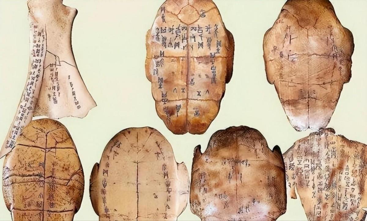 回顾他用甲骨文写作文得6分,却被川大破格录取,教授:我教不了