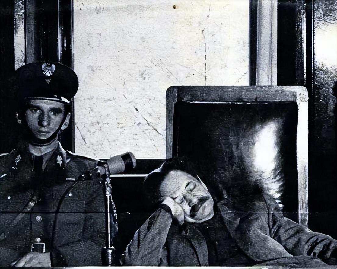 维希政府为何会迫害犹太人,政府又做出了何等行为?