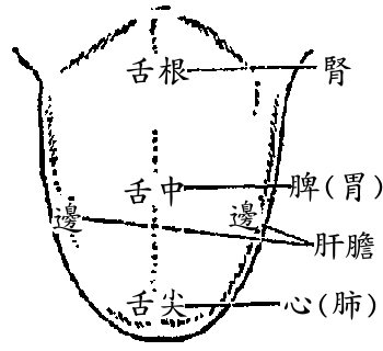 中医36种舌象图解儿童图片