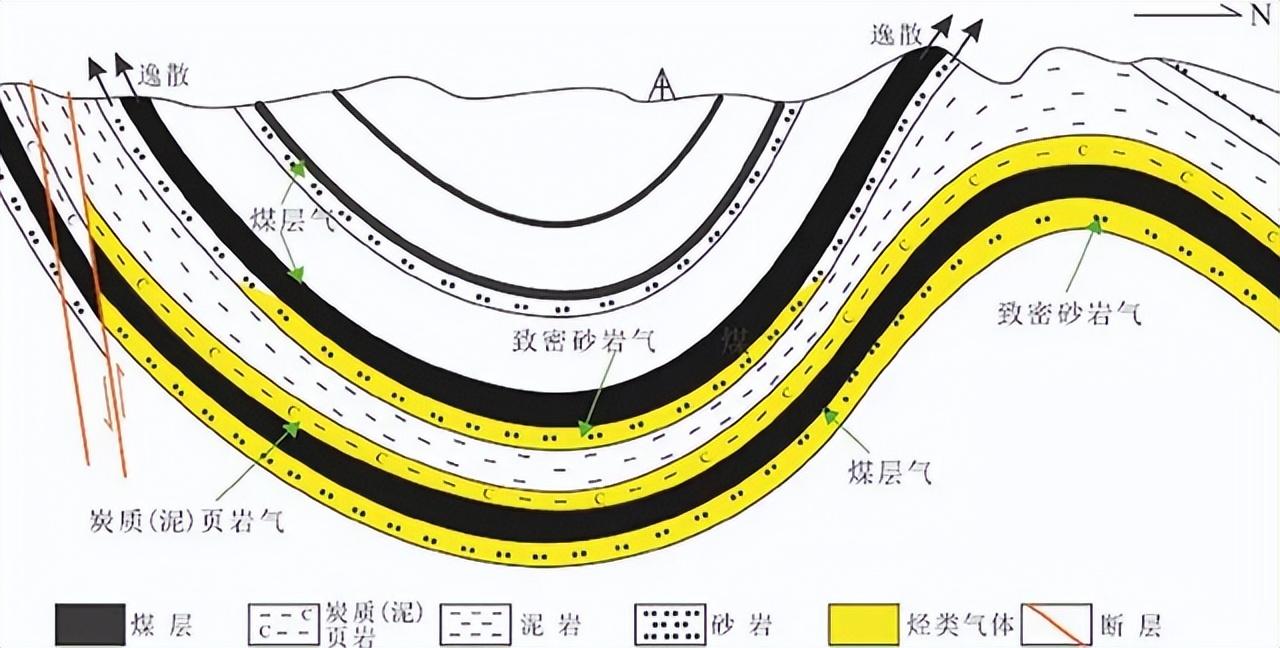 回顾:1千米厚的煤层,延伸上千公里!煤田真是植物形成的?