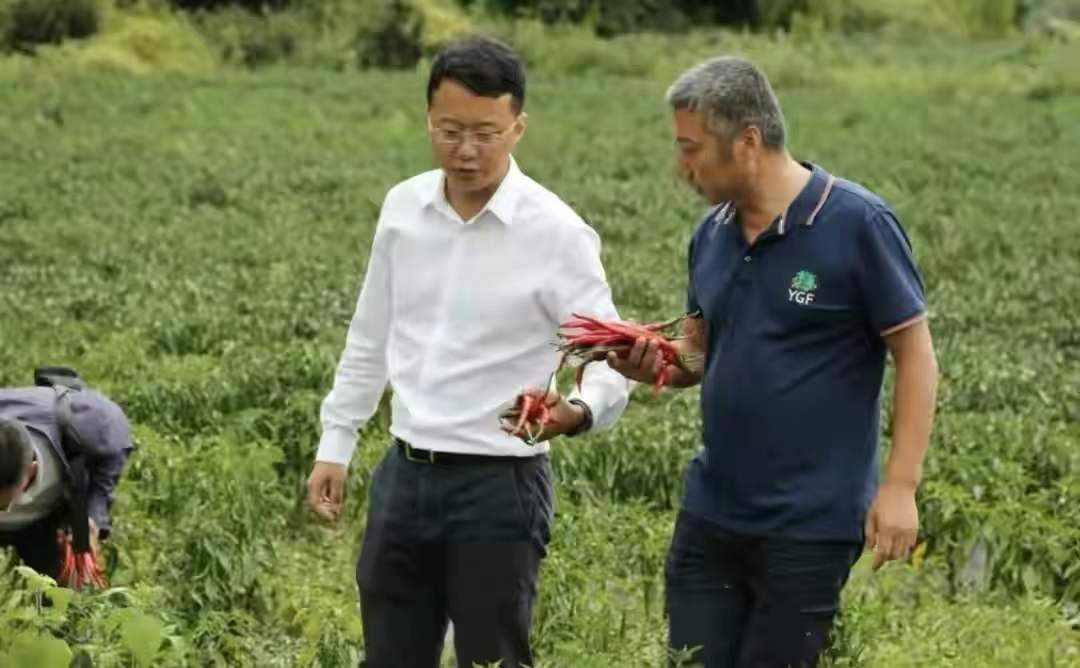 回顾:东北小伙初中辍学,卖麻辣烫年入60亿,开六千家店,凭啥?