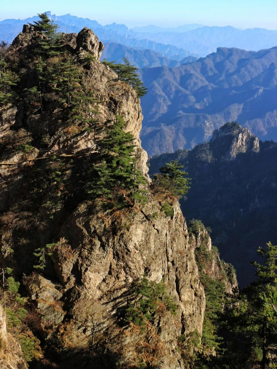 老君山简介  老君山,位于河南洛阳的栾川县,是道教中历史最长的山脉,